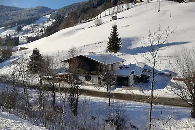 Wohnung in Dienten mit Bergblick