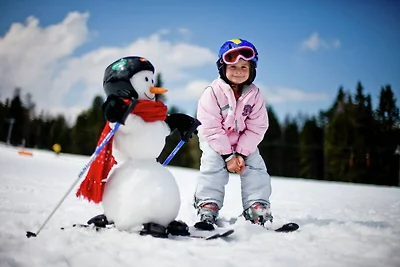 Boutique-Chalet in Sankt Georgen ob Murau mit...