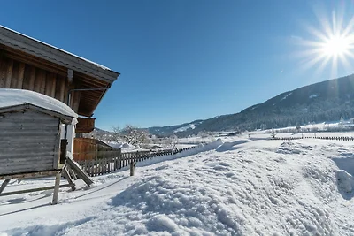 Wohnung Leogang nahe Skipisten