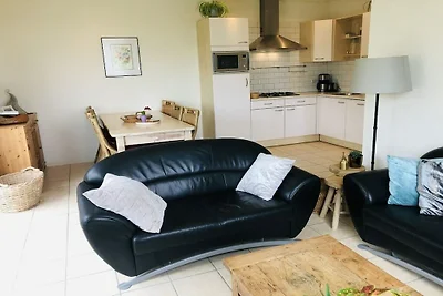 Ferienhaus in texel mit Schwimmbecken