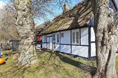 5 Personen Ferienhaus in Præstø-By Traum