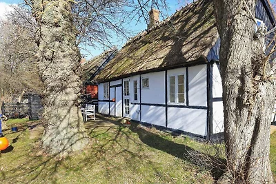 5 Personen Ferienhaus in Præstø-By Traum