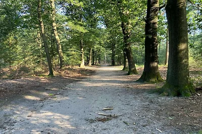 Bellissimo chalet nei boschi del Veluwe