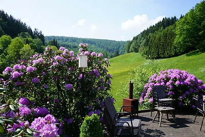 Landhaus in Winterberg am Skihang