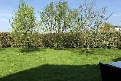 Ferienhaus in Wiesbaum mit Barbecue