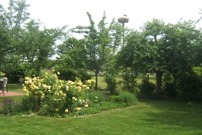 - Huis op de weide || Venningen