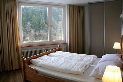 Geräumige Wohnung in Winterberg nahe Skipiste