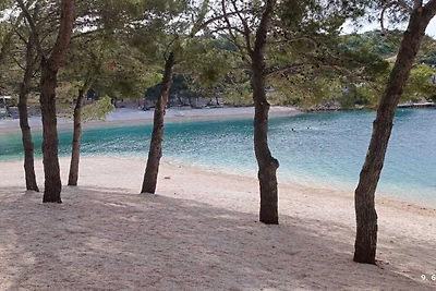 Dalmatia Apartments-Studio Apartment with Bal...