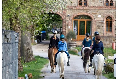 Tiny House in ruhiger Alleinlage am...