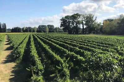 Cottage in Gard bij Pont du Gard