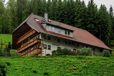 Appartamento ai margini della foresta