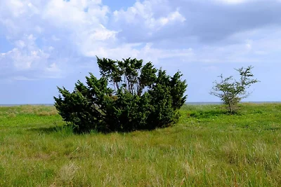6 Personen Ferienhaus in Gedser