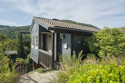 Modern Ferienhaus nähe von Winterberg mit...
