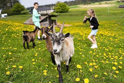 6 Personen Ferienhaus auf einem Ferienpark...