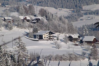 Appartement nabij skigebied Gerlitzen