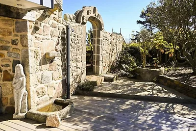 Goldener Ginster · Ploumanach Außergewöhnlich