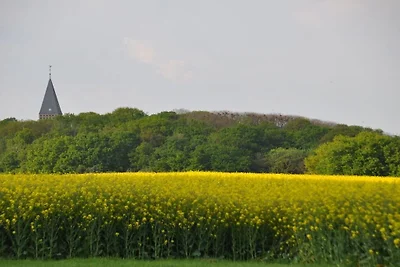 Am Wäldchen Steenbrukshof