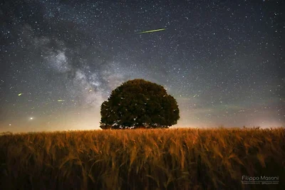 Gruppenurlaub mit Garten in der Toskana