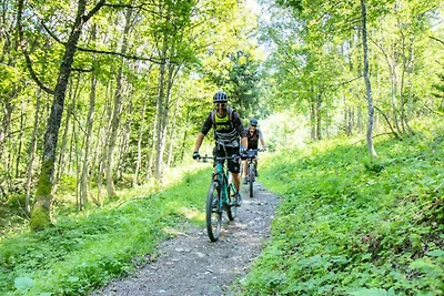 Ferienhaus in den Alpen in der Nähe von...