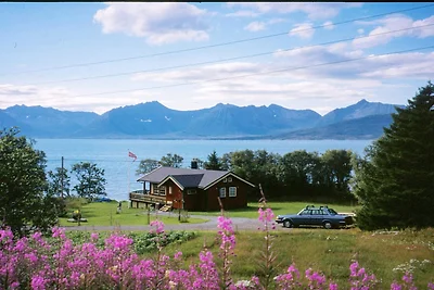 6 Personen Ferienhaus in BORKENES-By Traum