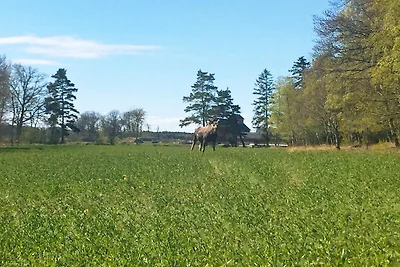 6 persoons vakantie huis in LIDKÖPING-By...