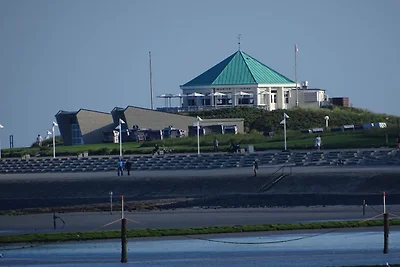 Seehund Komfortable Ferienresidenz