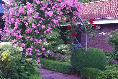 Vakantieappartement Noorderlicht