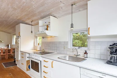 4 Personen Ferienhaus in Hurup Thy-By Traum