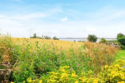 8 Personen Ferienhaus in Faaborg