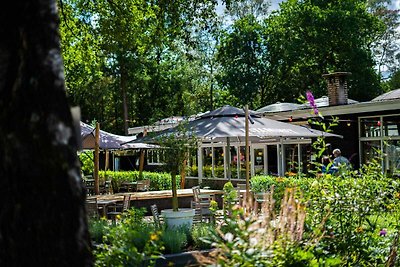 Comfortabele woning met sauna, in de natuur