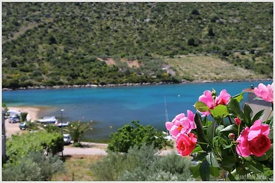 Apartments Juras - Studio Apartment with Sea ...