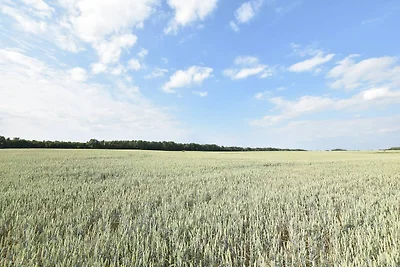 In prossimitá (estate) (<1 km) In prossimitá (estate) (<1 km)