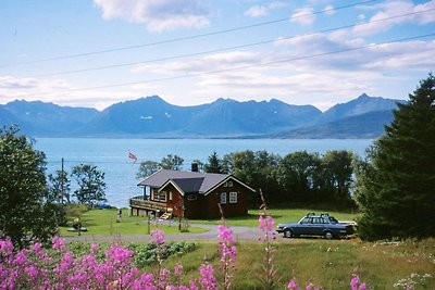 6 Personen Ferienhaus in BORKENES-By Traum