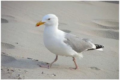 Alte Druckerei Ferienwohnung Bodoni