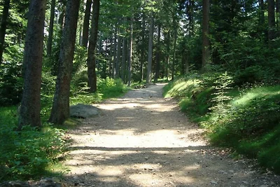 Ferienwohnung in Regen mit Schwimmbecken