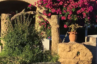 Spaziosa casa vacanze con piscina