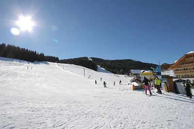 Apartment im sonnigen Lungau direkt am Lift