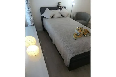 Meeuw (Meeuwennest Scharbeutz)