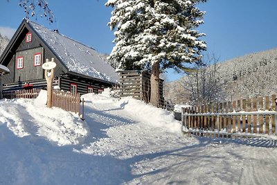 Villa in Horni Marsov met tuin