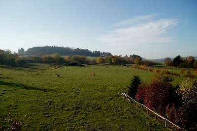 Auf dem schönen Feld ||