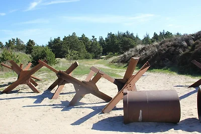 4 Personen Ferienhaus in Blåvand