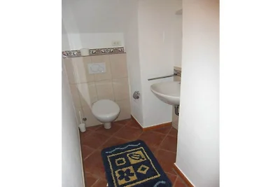 Studio Maison abrikoos