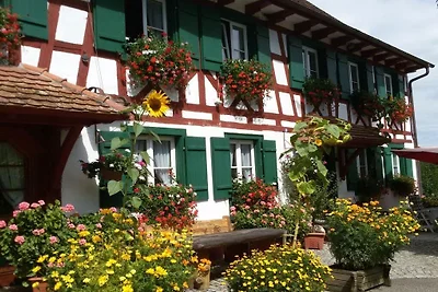 Wohnung in Owingen mit Schwimmbecken