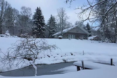 Ferienhaus in Brilon mit Schwimmbecken