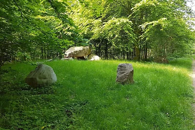 6 Personen Ferienhaus in Præstø-By Traum