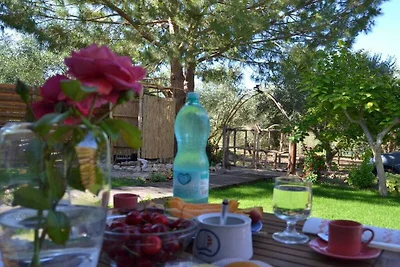 "La Dolce Vita" Comfortabele vakantiewoning