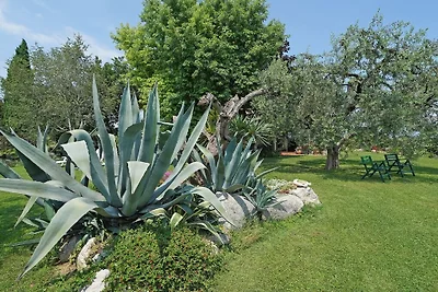 Terrazze sul Garda