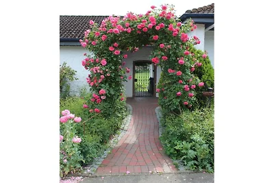 Ferienhaus in Malente mit Schwimmbecken