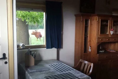Ferienhaus in Schijf mit Garten