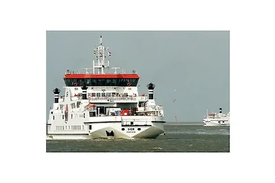 Duinhuis Ameland 1